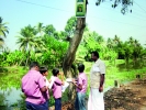 കീടനാശിനി പരസ്യങ്ങള്‍ മരങ്ങള്‍ക്ക് ഭീഷണിയാകുന്നു 